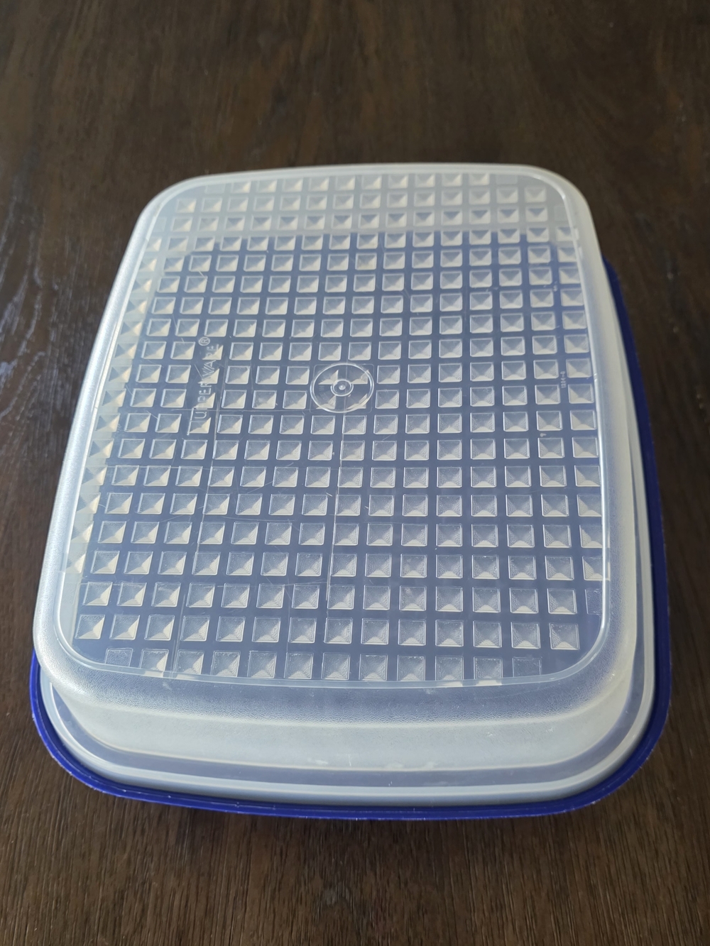 Tupperware Season N Serve Meat Marinade Container ~ Blue ~ 1295